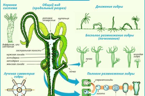 Регистрация на kraken com