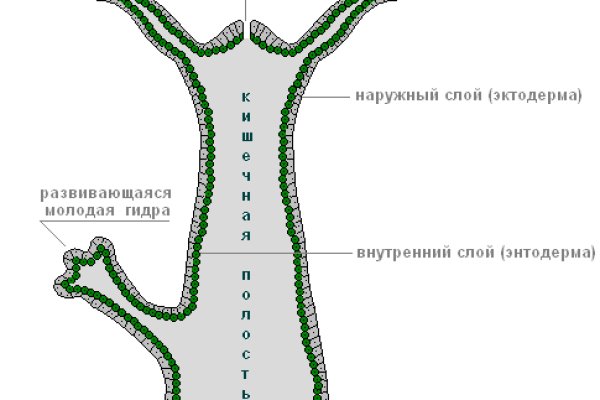 Не могу зайти на кракен